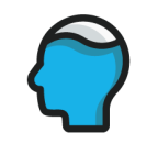 Pool Brain logo