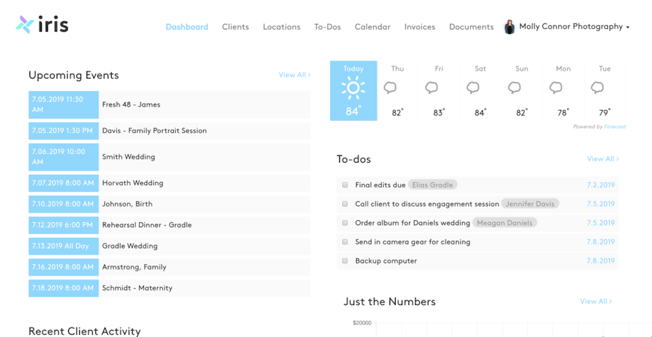 Iris Works screenshot