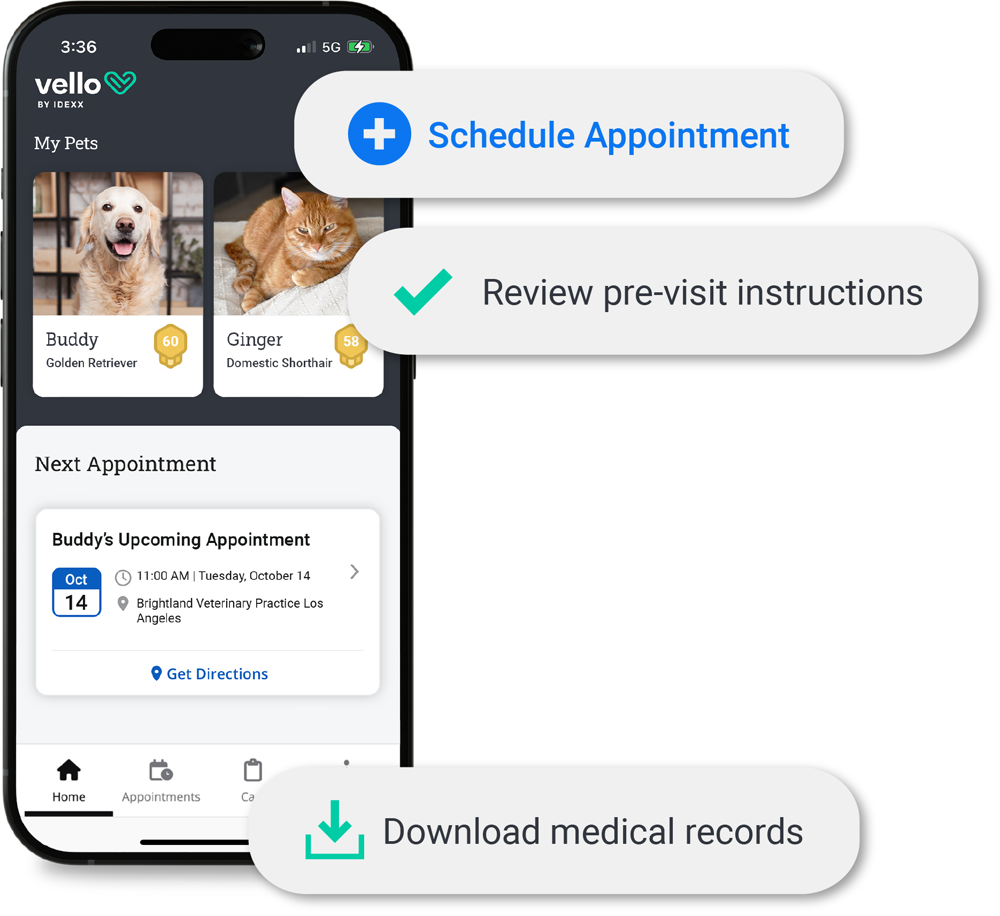 Vello screenshot