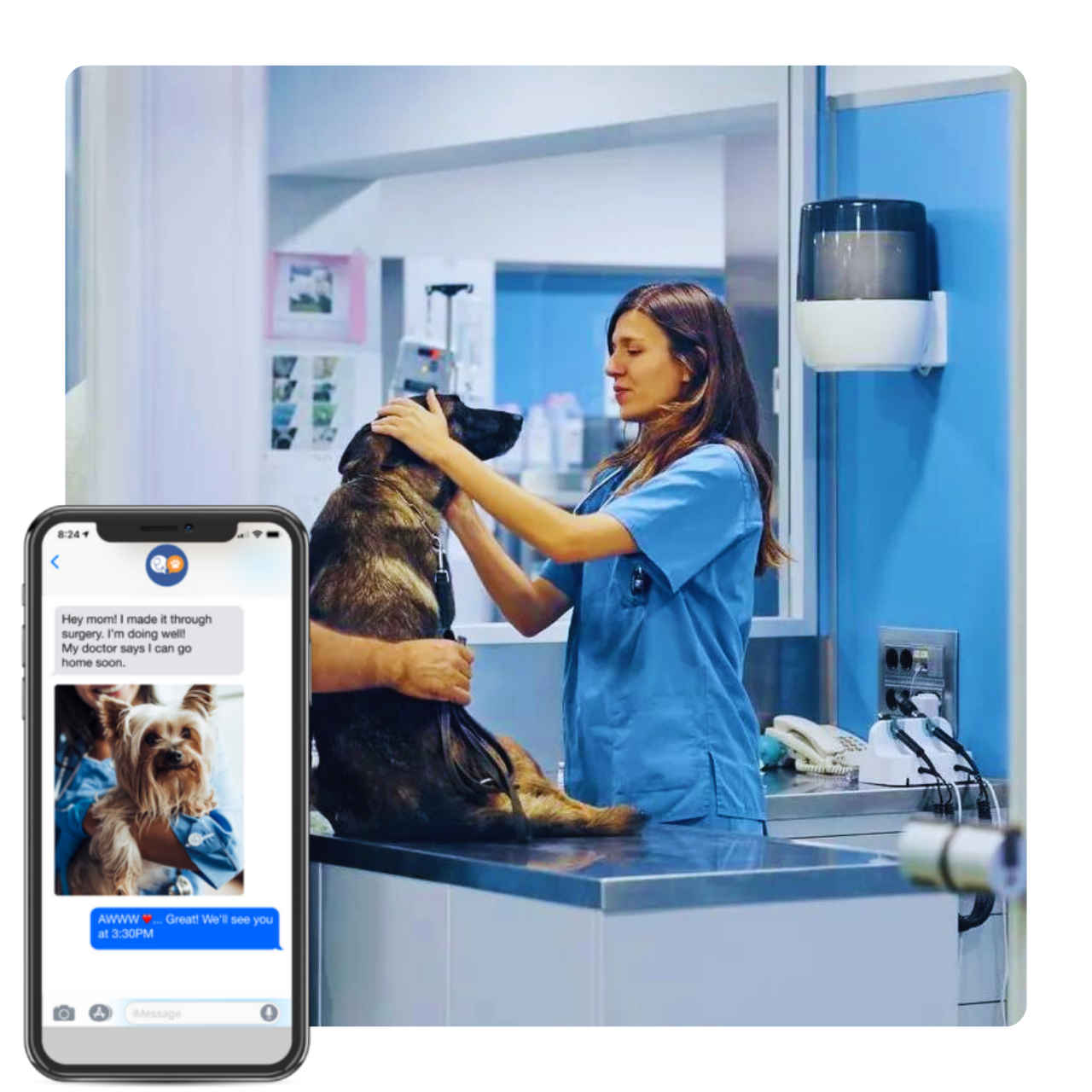 VitusVet screenshot